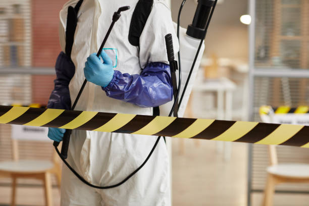 Professional Hoarding Cleanup technician working in Havana, AR